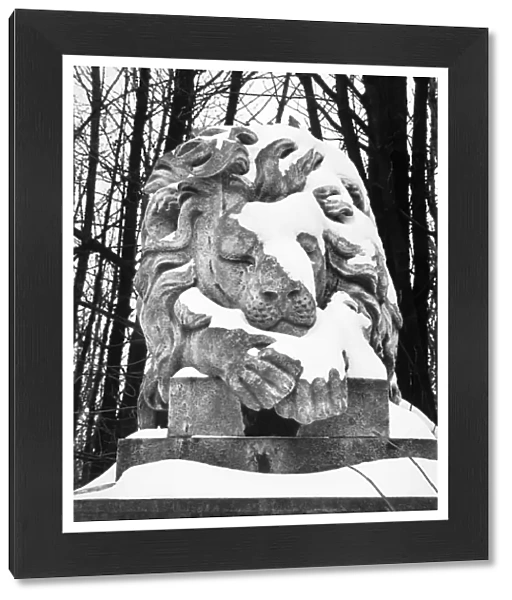 Lion statue, Highgate Cemetery OP04501
