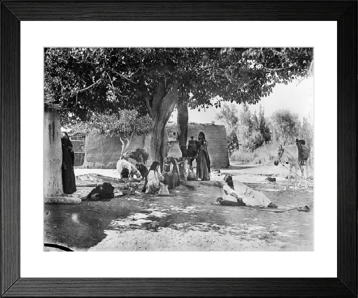 Framed Print : Shady Tree EGP_22663_030 Print Framed Print : Shady Tree EGP_22663_030 Print