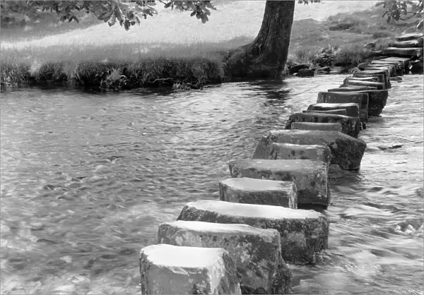 Stepping Stones a98_05078