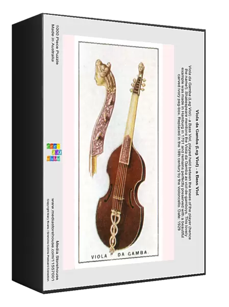 Viola da Gamba (Leg Viol) - a Bass Viol
