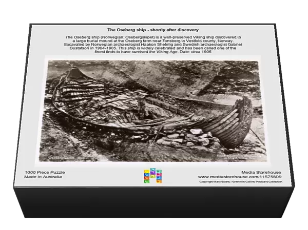 The Oseberg ship - shortly after discovery