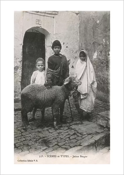 Algeria - North Africa - Young Shepherd with his sheep