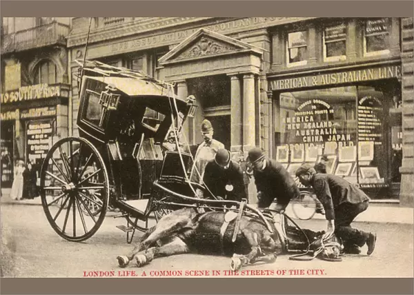 An exhausted cab horse - The Strand, London