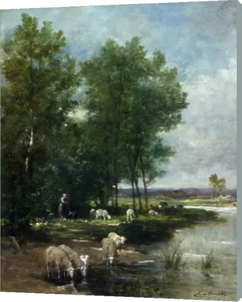 Landscape with Sheep