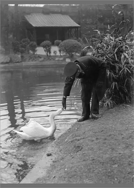 Park Keeper and Swan