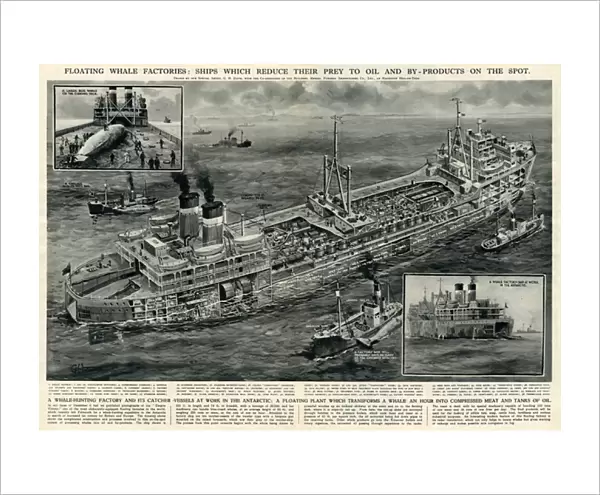 Whale hunting vessel and factory by G. H. Davis