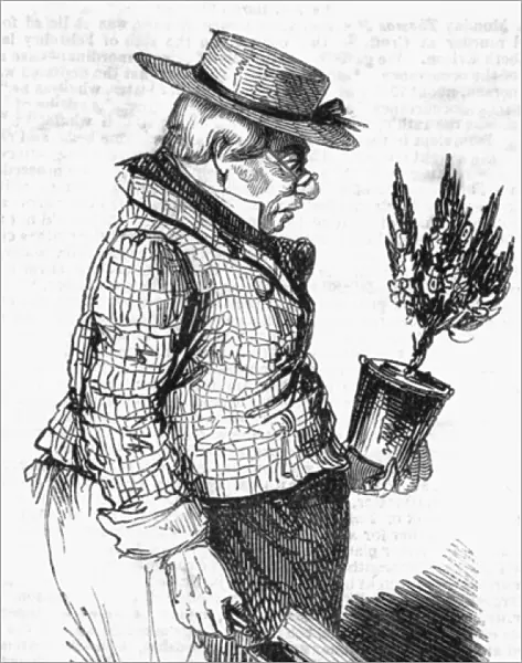 Gardener, 1843
