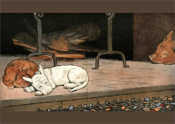 Rags the puppy joins cat and piglet by the fire