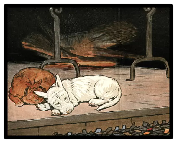 Rags the puppy joins cat and piglet by the fire