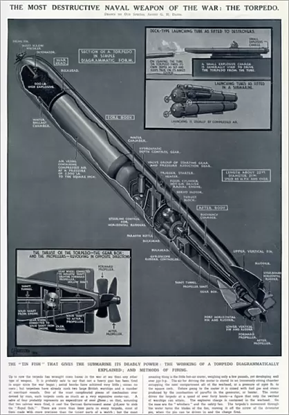 Diagram of a torpedo by G. H. Davis