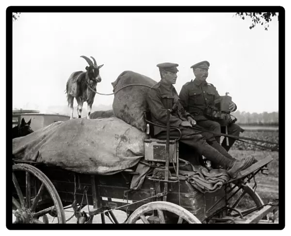British soldiers with pet goat, Western Front, WW1