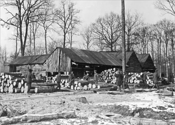 Forest lumber works, Western Front, France, WW1