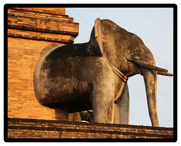 Elephant, Wat Chedi Luang temple, Chiang Mai, Thailand