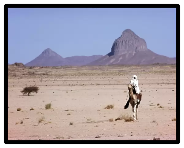 Touareg and Camel Sahara Desert