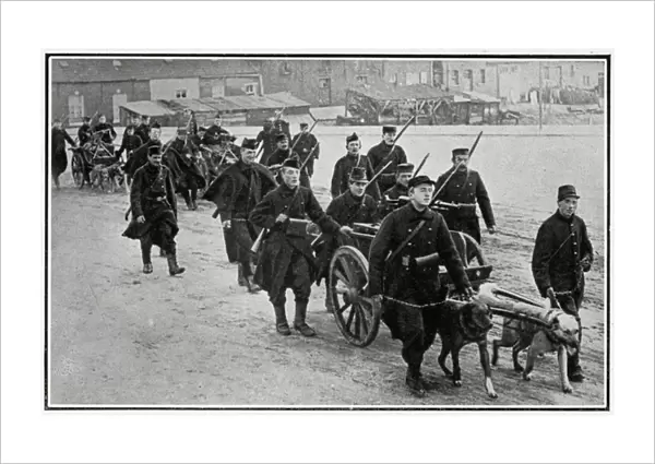 Belgian troops with dogs