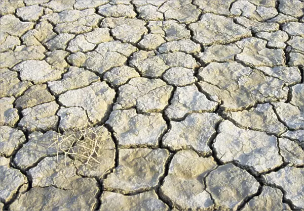 Cracked soil in a desert near Kum-Dag