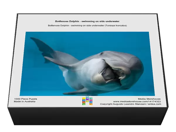 Bottlenose Dolphin - swimming on side underwater