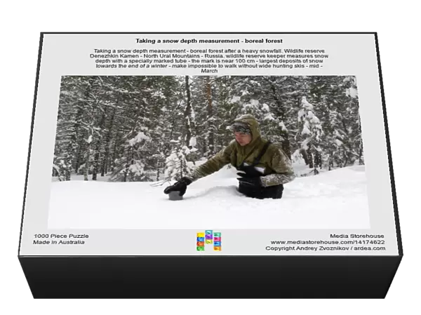 Taking a snow depth measurement - boreal forest