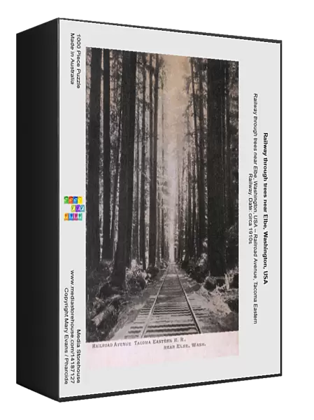 Railway through trees near Elbe, Washington, USA