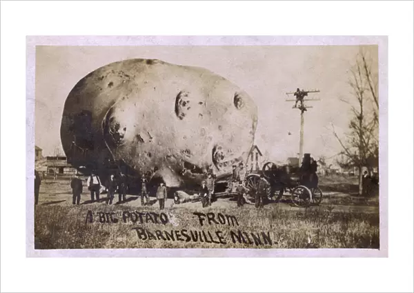 Giant potato, Barnesville, Minnesota, USA