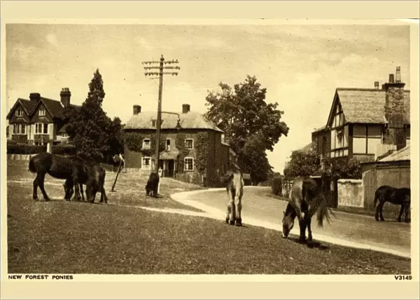 The Village, Lyndhurst, Hampshire