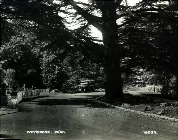 The Park, Weybridge, Surrey