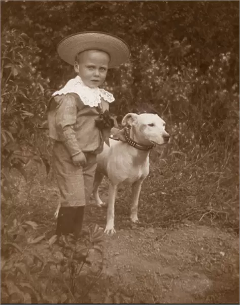 Little boy with a bull terrier in a garden