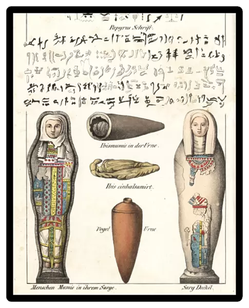 Egyptian hieroglyphs on papyrus, mummy in urn