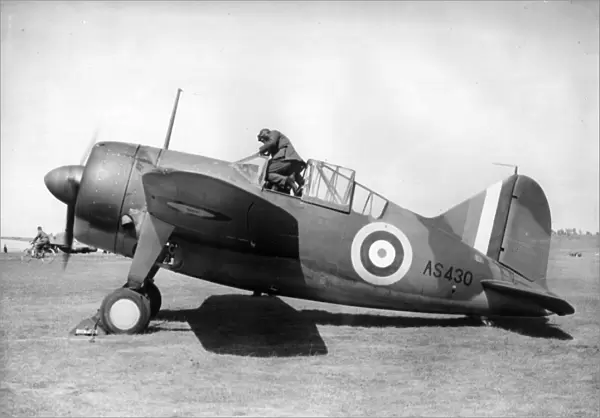 Brewster F2A Buffalo -big and heavy, the RAFs Buffalos
