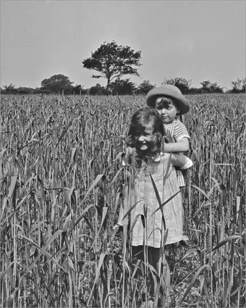 Girl and toddler in a cornfield