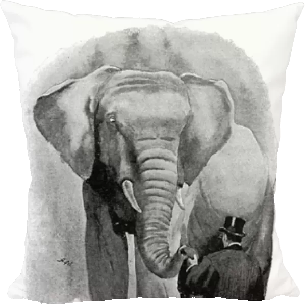 Illustration, man feeding a bun to an elephant