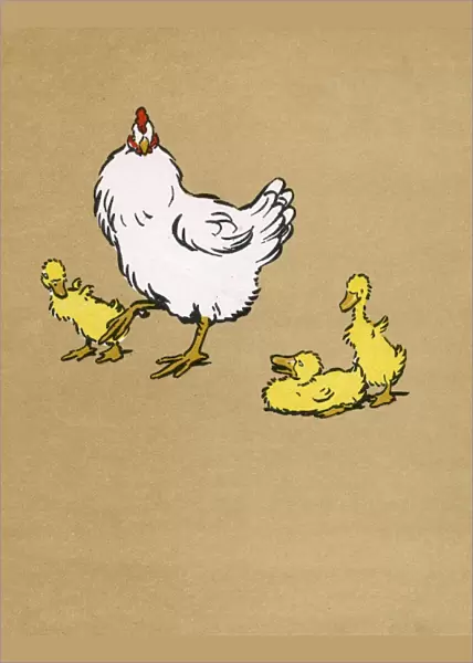 Illustration by Cecil Aldin, Ugly Duckling