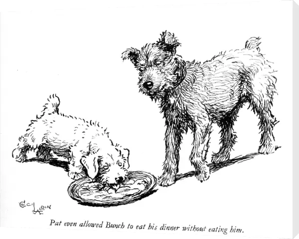 Illustration of a Sealyham terrier puppy by Cecil Aldin