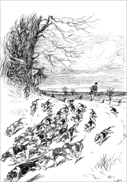 Illustration by Cecil Aldin, Hotspur the Beagle
