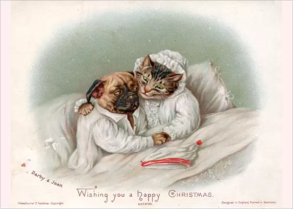 Cat and dog in bed on a Christmas card