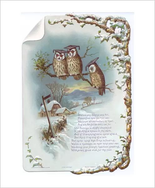 Three educated owls on a New Year card