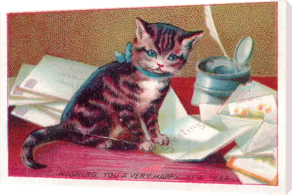Kitten with letters on a New Year card
