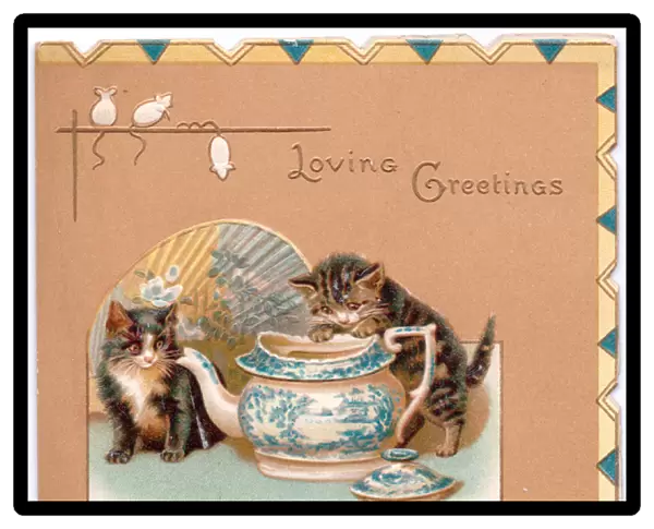 Two kittens with teapot on a greetings card