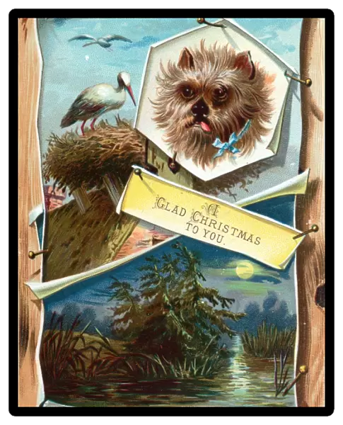 Dog, stork on nest and moonlight scene on a Christmas card