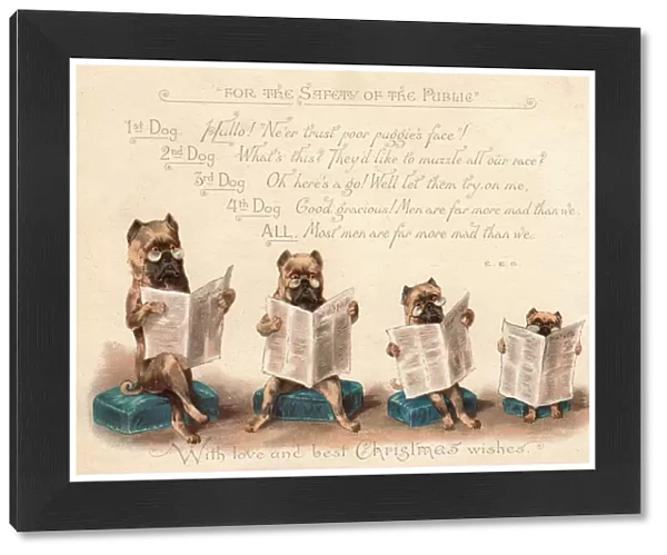 Four dogs reading newspapers on a Christmas card