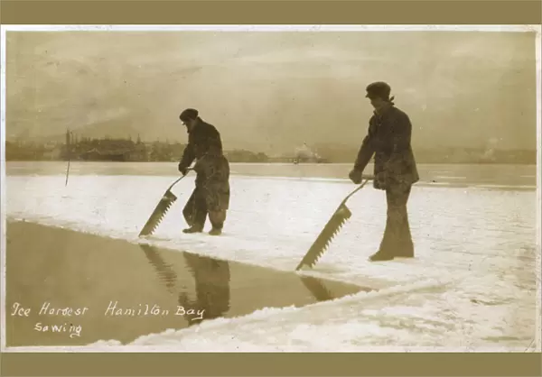 Canada - Hamilton Bay - Ice Harvest - Sawing ice sheet