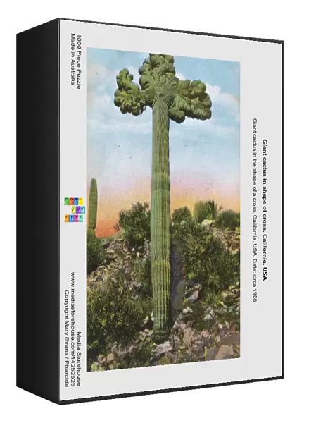 Giant cactus in shape of cross, California, USA