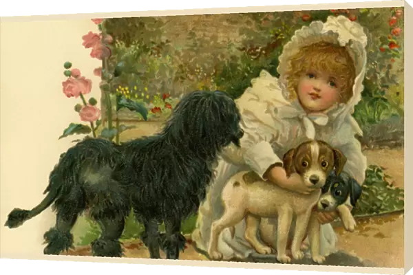 Girl with three dogs