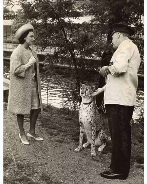 Princess Margaret meeting a Cheetah and Zoo Keeper