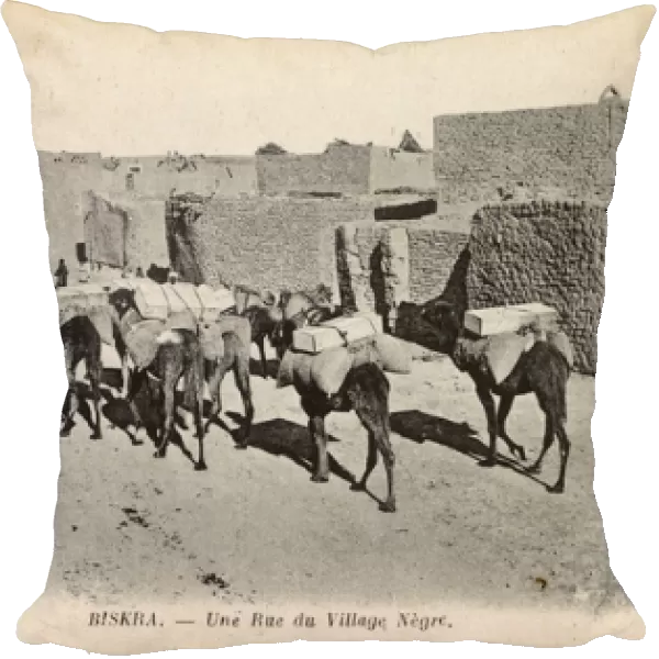 Native village with camels, Biskra, Algeria