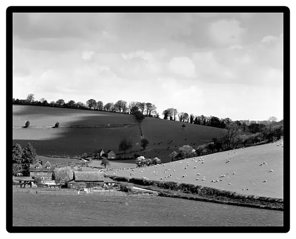 Chiltern Farming scene, Bix near Henley on Thames, Oxon