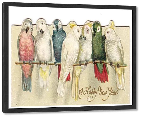 Parrots on a reversible Christmas and New Year card