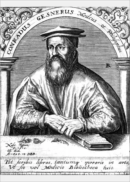 GESNER (1516 - 1565)