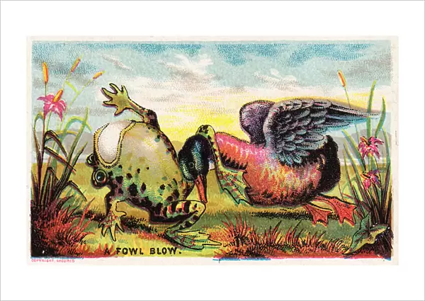 Duck, frog and egg on a comic card