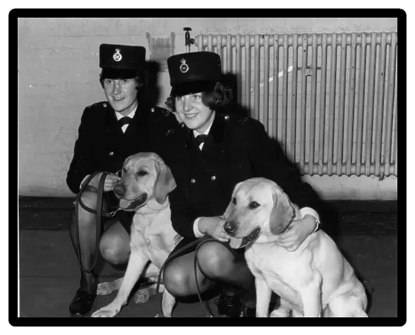 Women police dog handlers with drug sniffer dogs, London